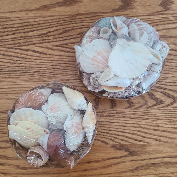 Seashells Basket - Mixed Assortment Sea Shells - Decor Or Crafting - Set of Two - Picture 2 of 10
